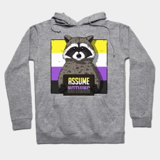 Assume Nothing Non-Binary Pride Hoodie